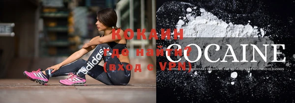 шишки Горняк