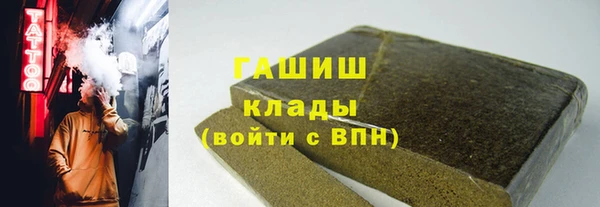 шишки Горняк