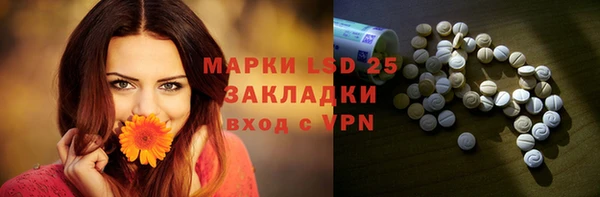ПСИЛОЦИБИНОВЫЕ ГРИБЫ Горнозаводск