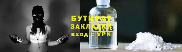 шишки Горняк