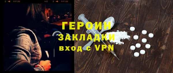 шишки Горняк