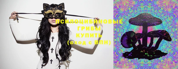 прущая мука Гусь-Хрустальный