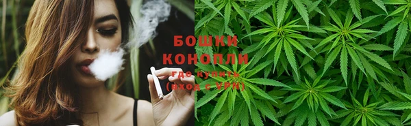 ПСИЛОЦИБИНОВЫЕ ГРИБЫ Горнозаводск