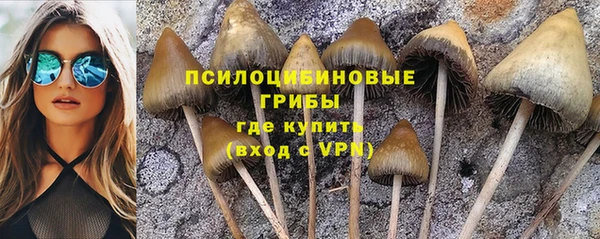 шишки Горняк