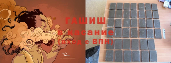 шишки Горняк