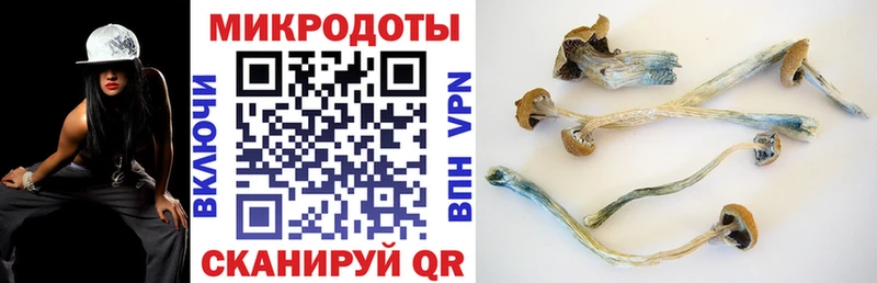 Галлюциногенные грибы Psilocybe  Купить закладки  Дно 
